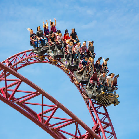 Roller Coasters